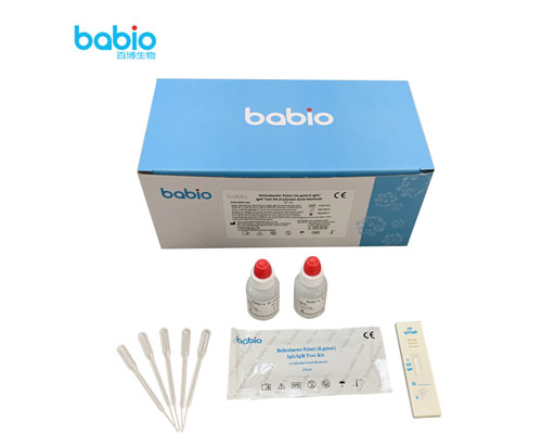 Helicobacter pylori (H.pylori) IgG/ IgM Test Kit -testimenettely