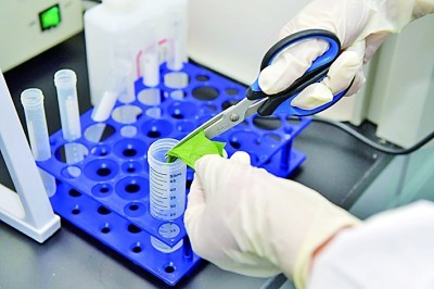 Luotettava bakteerien tunnistaminen tehtiin yksinkertaisesti Babion Gram Stain -sarjan kanssa