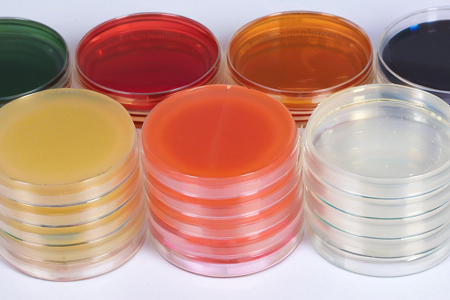 Babion korkealaatuinen Sapouraud Dextrose Agar (SDA)