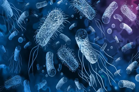 Babio käynnistää Vibrio Cholerae Rapid Antigeenin havaitsemispakkauksen